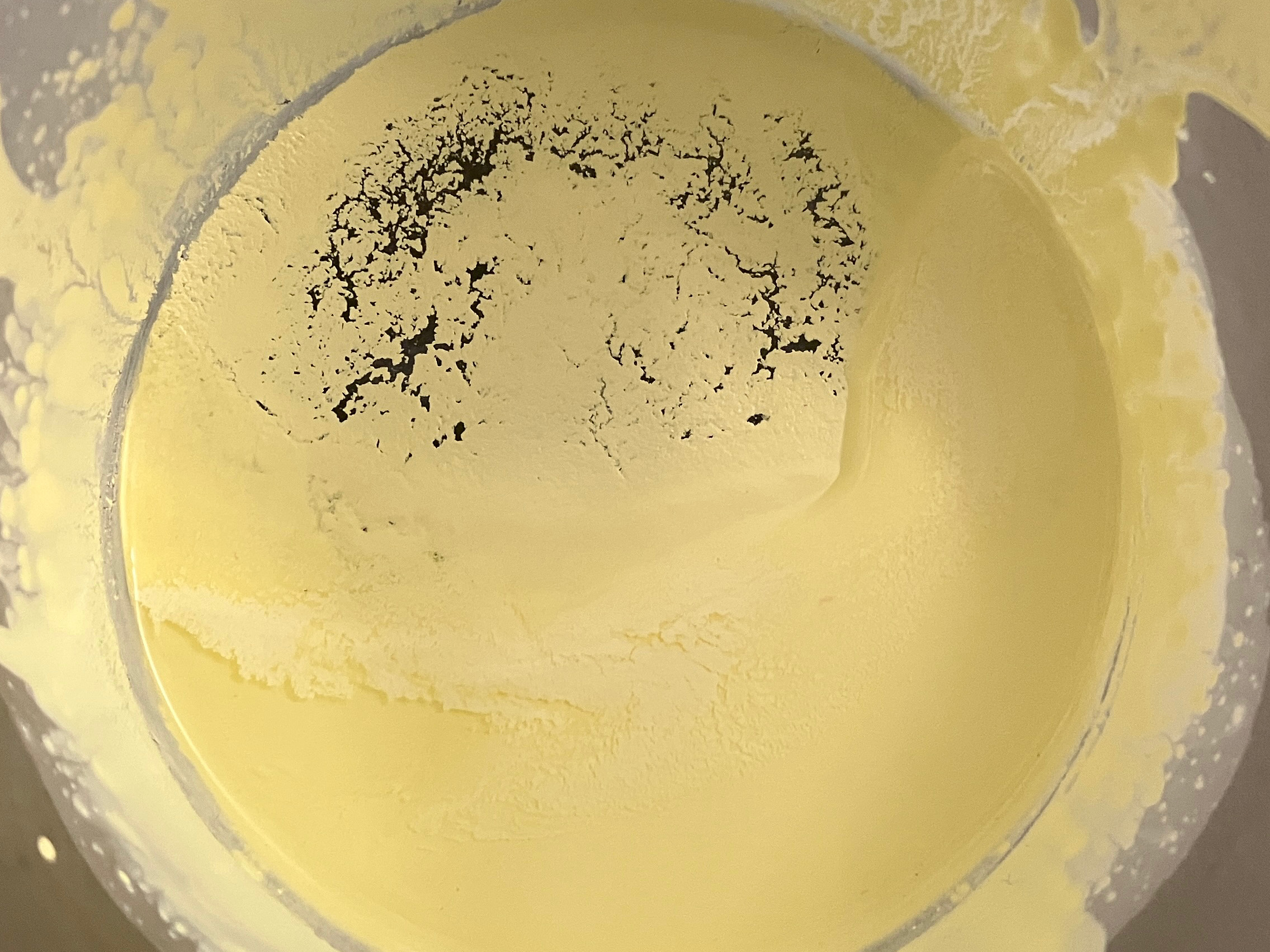 Antoni Pareja - APCISM