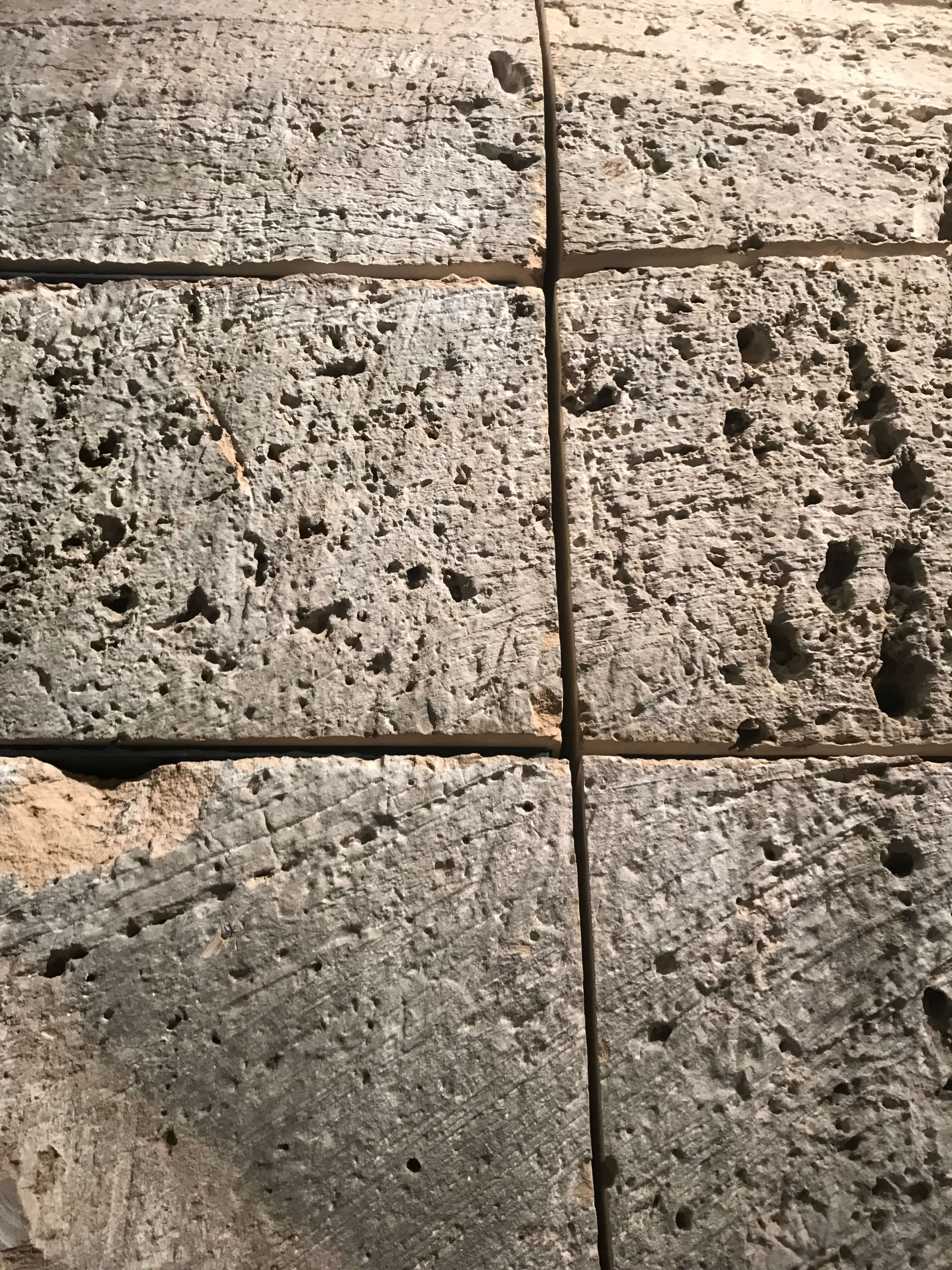 Antoni Pareja - APCISM