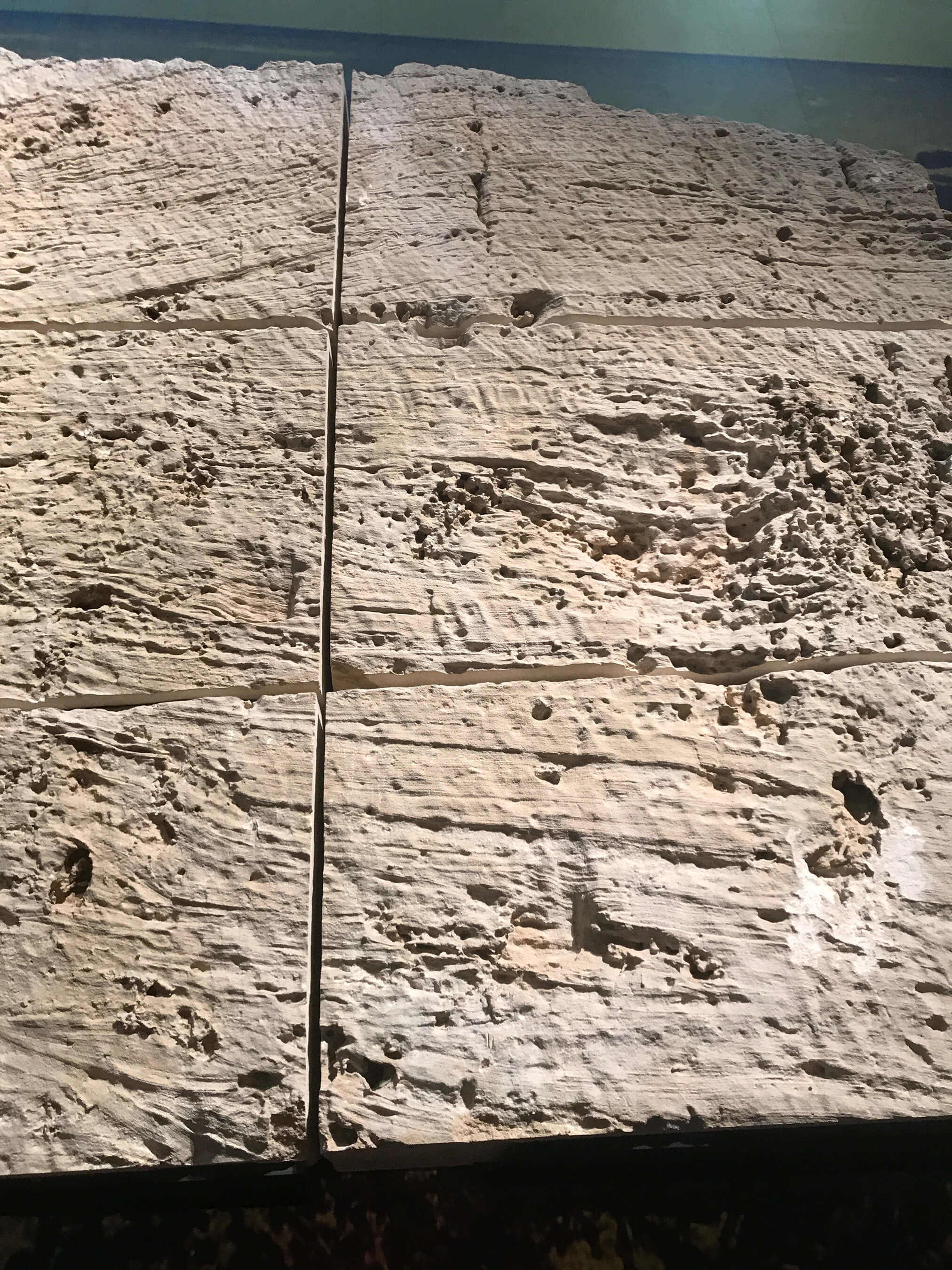 Antoni Pareja - APCISM