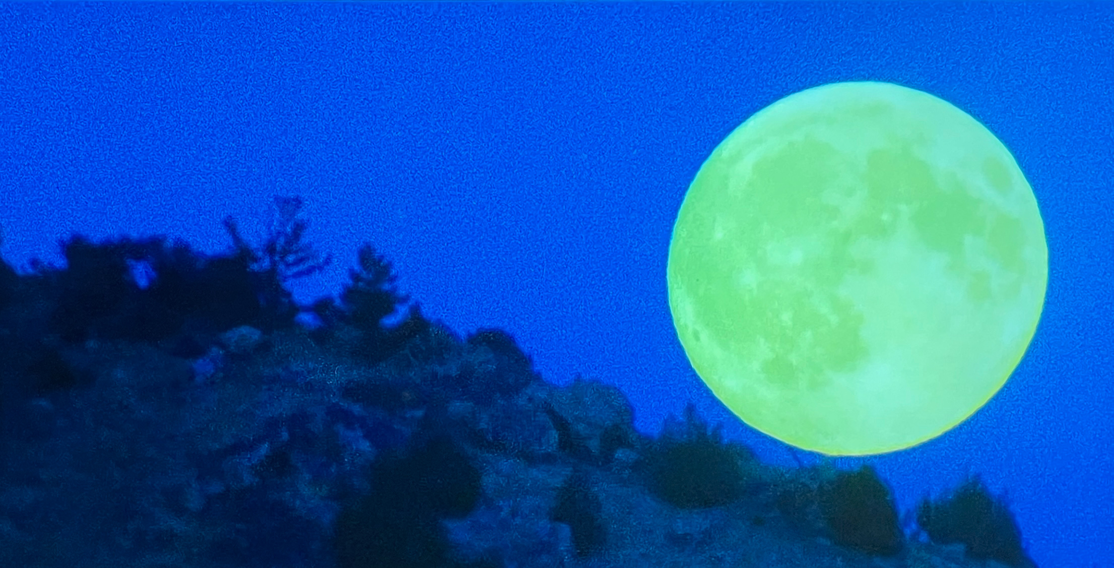 Antoni Pareja - APCISM